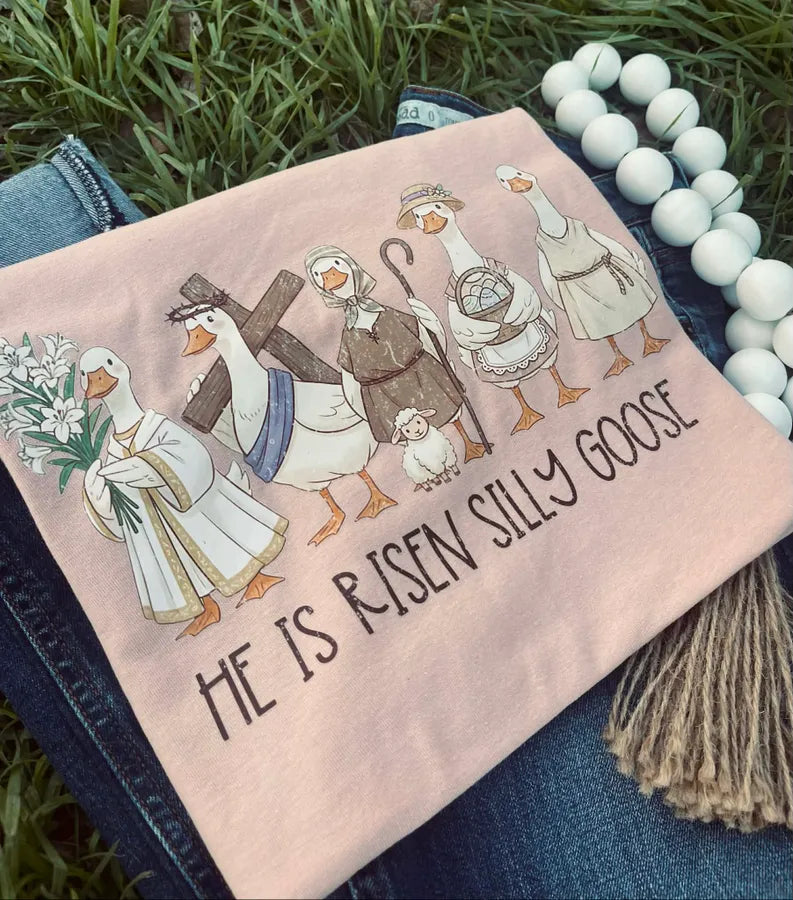 He is Risen Silly Goose (DTF Tee)