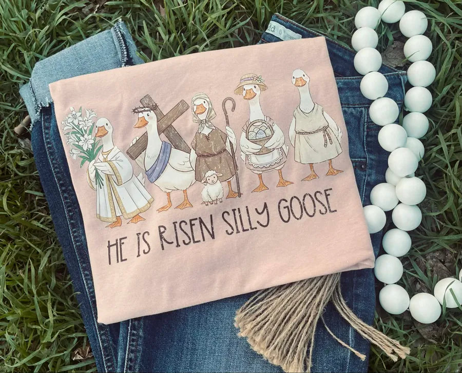 He is Risen Silly Goose (DTF Tee)